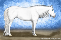 Horse Color:Gray Silver Amber Cream Champagne Roan Dun Splash Tobiano Frame Varnish Rabicano 