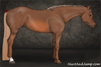 Horse Color:Liver Chestnut 