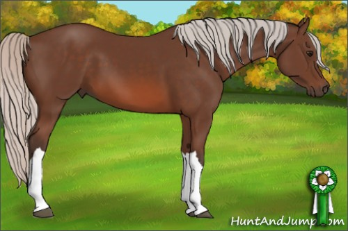 Horse Color: Silver Brown 