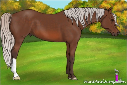 Horse Color: Silver Bay 