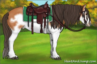 Horse Color:Bay Splash Frame 