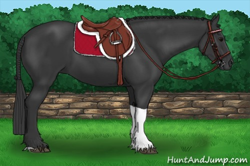 Horse Color: Black Tobiano Rabicano 