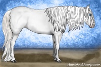 Horse Color:Gray Silver Amber Cream Champagne Roan Dun Splash Tobiano Frame Varnish Rabicano 