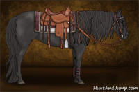 Horse Color:Smoky Black 