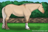 Horse Color:Silver Bay Dun 