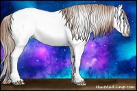 Horse Color:Gray Gold Champagne Roan Dun Splash Frame Appaloosa Rabicano 