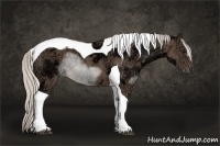 Horse Color:Silver Smoky Black Ice Tobiano 