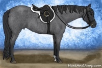 Horse Color:Blue Roan 