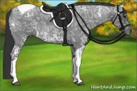 Horse Color:Blue Ice Roan Tobiano 