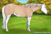 Horse Color:Silver Classic Champagne Splash 