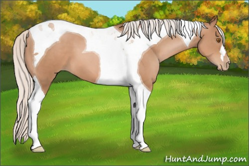 Horse Color: Silver Black Pearl Tobiano 