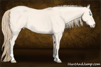 Horse Color:Perlino Dun