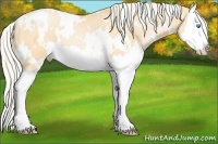 Horse Color:White Spotted Palomino Pearl Splash