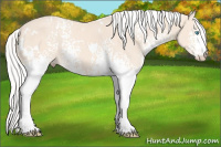 Horse Color:White Spotted Silver Perlino