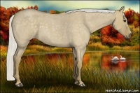 Horse Color:Silver Smoky Grullo Roan 