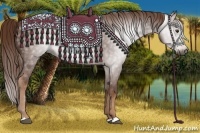 Horse Color:Gray Chestnut 