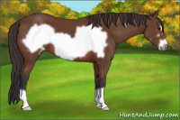 Horse Color:Bay Frame