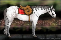 Horse Color:Gray Bay Ice Roan Blanket 