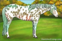 Horse Color:Watercolor Brown Splash Near Leopard 