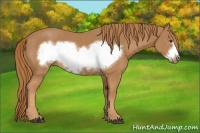 Horse Color:Chestnut Frame 