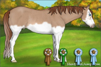 Horse Color:Red Dun Roan Splash Frame Rabicano 