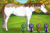 Horse Color:Red Dun Roan Splash Frame Rabicano