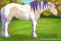Horse Color:Watercolor Buckskin Dun Tobiano 