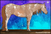 Horse Color:White Spotted Chestnut Ice