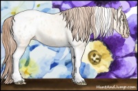 Horse Color:Gold Champagne Roan Dun Splash Tobiano Frame Appaloosa Rabicano 