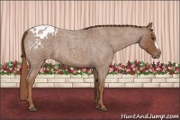 Horse Color:Red Roan Frame Blanket 
