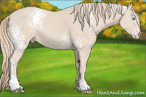 Horse Color: White Spotted Perlino Tobiano 