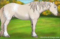 Horse Color:White Spotted Perlino Tobiano