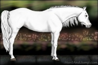 Horse Color:Gray Bay Dun 