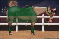 Horse Color:Silver Bay Dun 