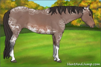 Horse Color:Bay Ice Roan Tobiano Rabicano