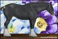 Horse Color:Black Splash Blanket 