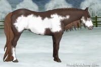 Horse Color:Liver Chestnut Frame 