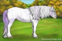 Horse Color:Watercolor Grullo Splash Tobiano Blanket 