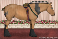 Horse Color:Black Splash Frame Brindle