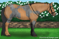 Horse Color:Blue Roan Splash Frame Brindle