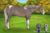 Horse Color:Silver Black Sabino Splash Tobiano