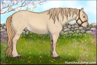 Horse Color:Red Dun Roan 