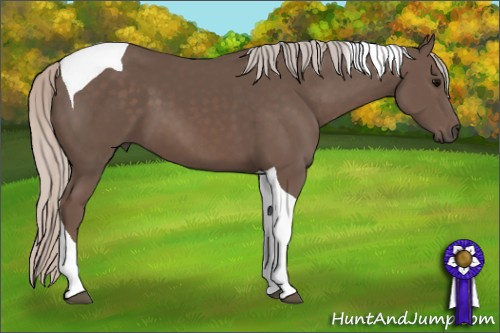 Horse Color: Silver Brown Tobiano 