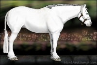 Horse Color:Gray Silver Amber Cream Champagne Roan Dun Splash Tobiano Frame Appaloosa Rabicano 