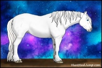 Horse Color:Gray Silver Amber Cream Champagne Roan Dun Splash Tobiano Frame Varnish Rabicano 
