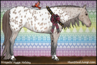 Horse Color:Brown Roan Dun Appaloosa