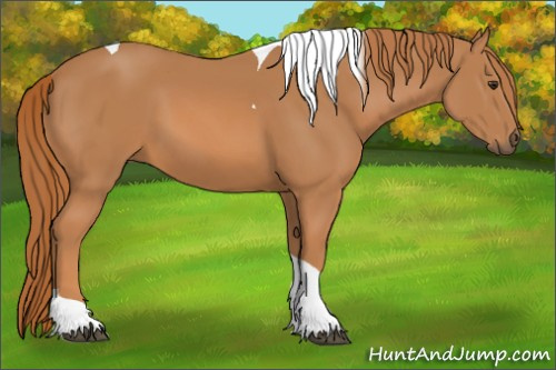 Horse Color: Chestnut Tobiano 