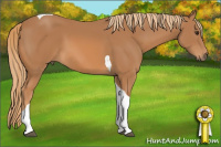 Horse Color:Chestnut Tobiano