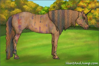 Horse Color:Nacre Bay  Brindle