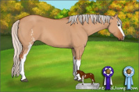Horse Color:White Spotted Silver Bay Dun Sabino 